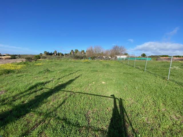 Terreno en Venta en Alcolea del Río