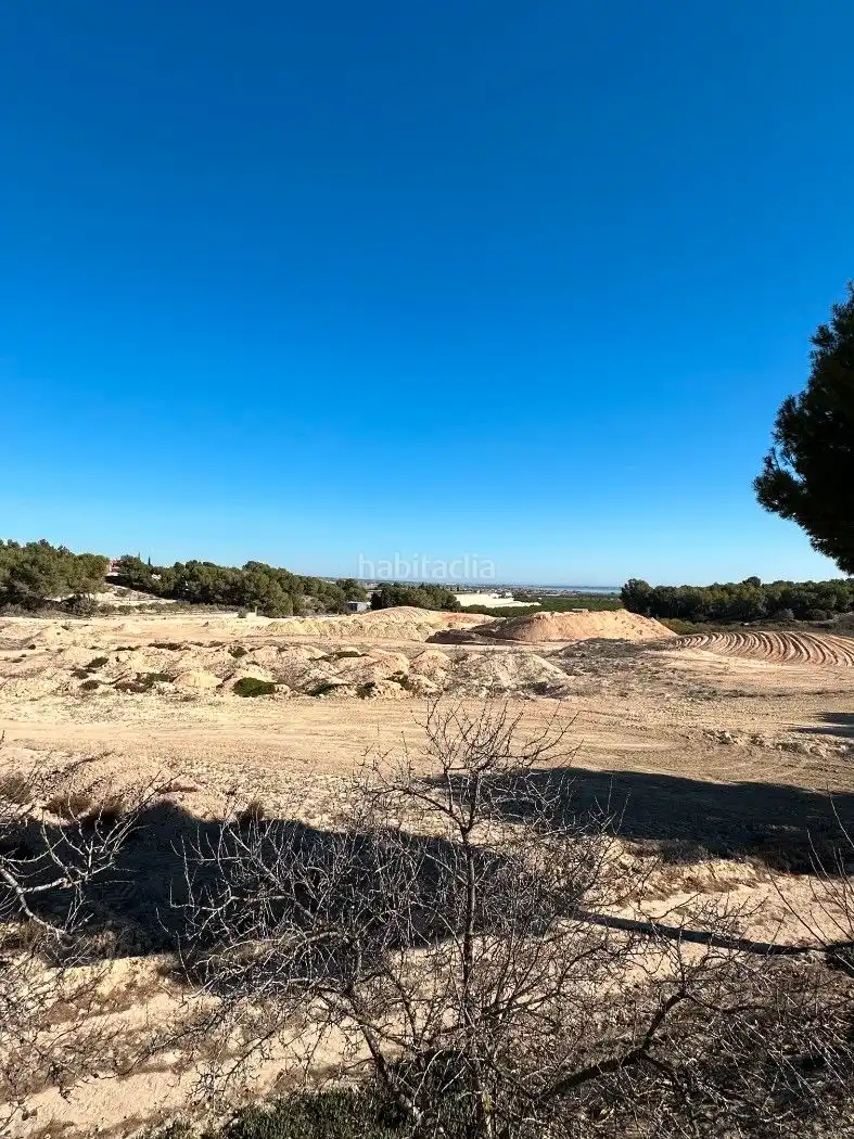 Terrain rustique à vendre à Camino de Catral 31, imagen 23