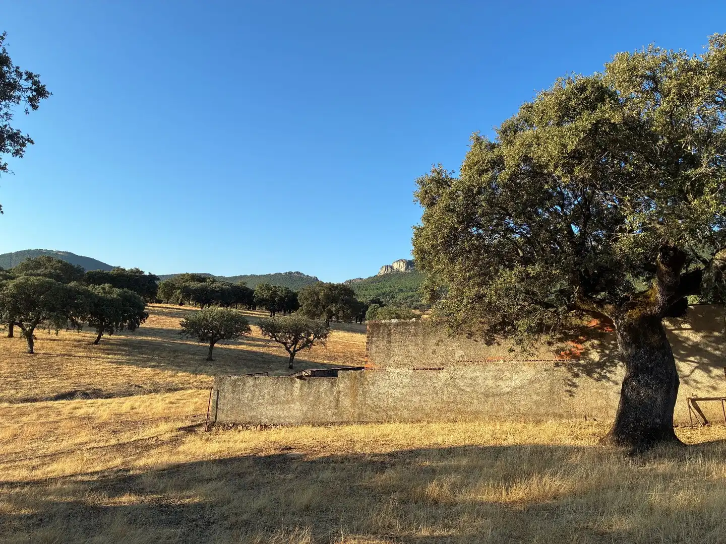 Rural land for sale in Mohedas de la Jara