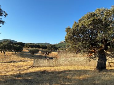 Terreno rústico en venta en Mohedas de la Jara