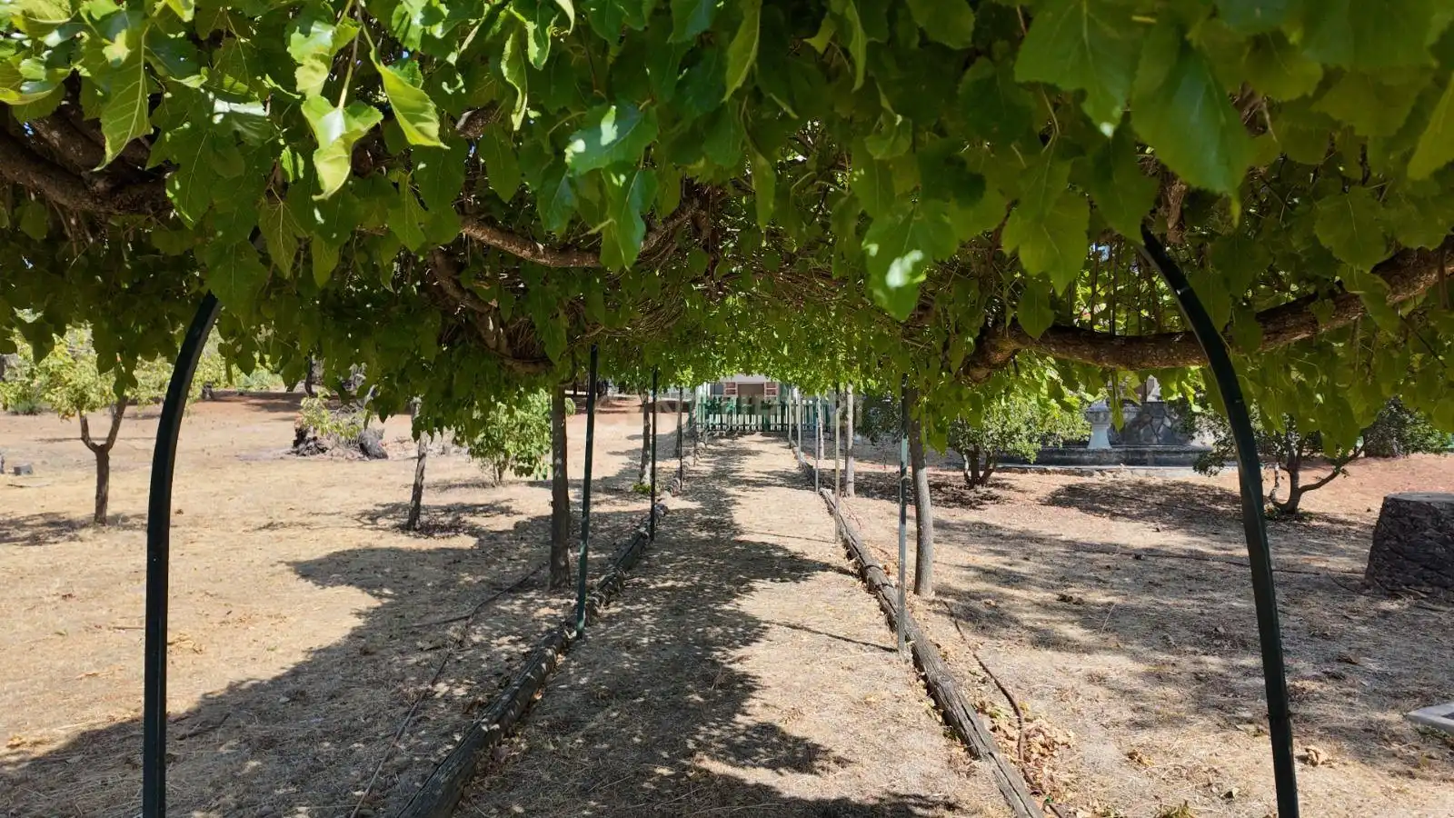 Jardí de Casa o xalet en venda en Casar de Cáceres amb Aire condicionat, Jardí privat i Traster