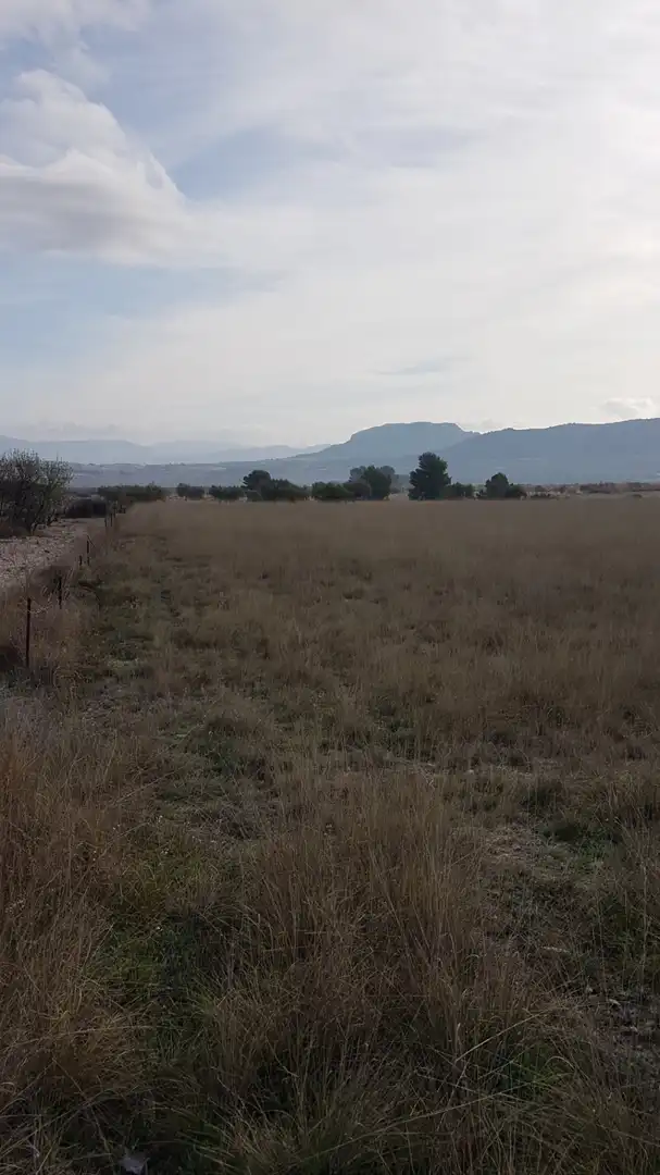 Finca rústica en venda en Salinas