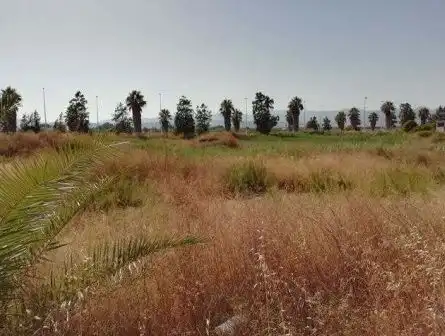 Terrain résidentiel à vendre à Calle Finlandia, imagen 7