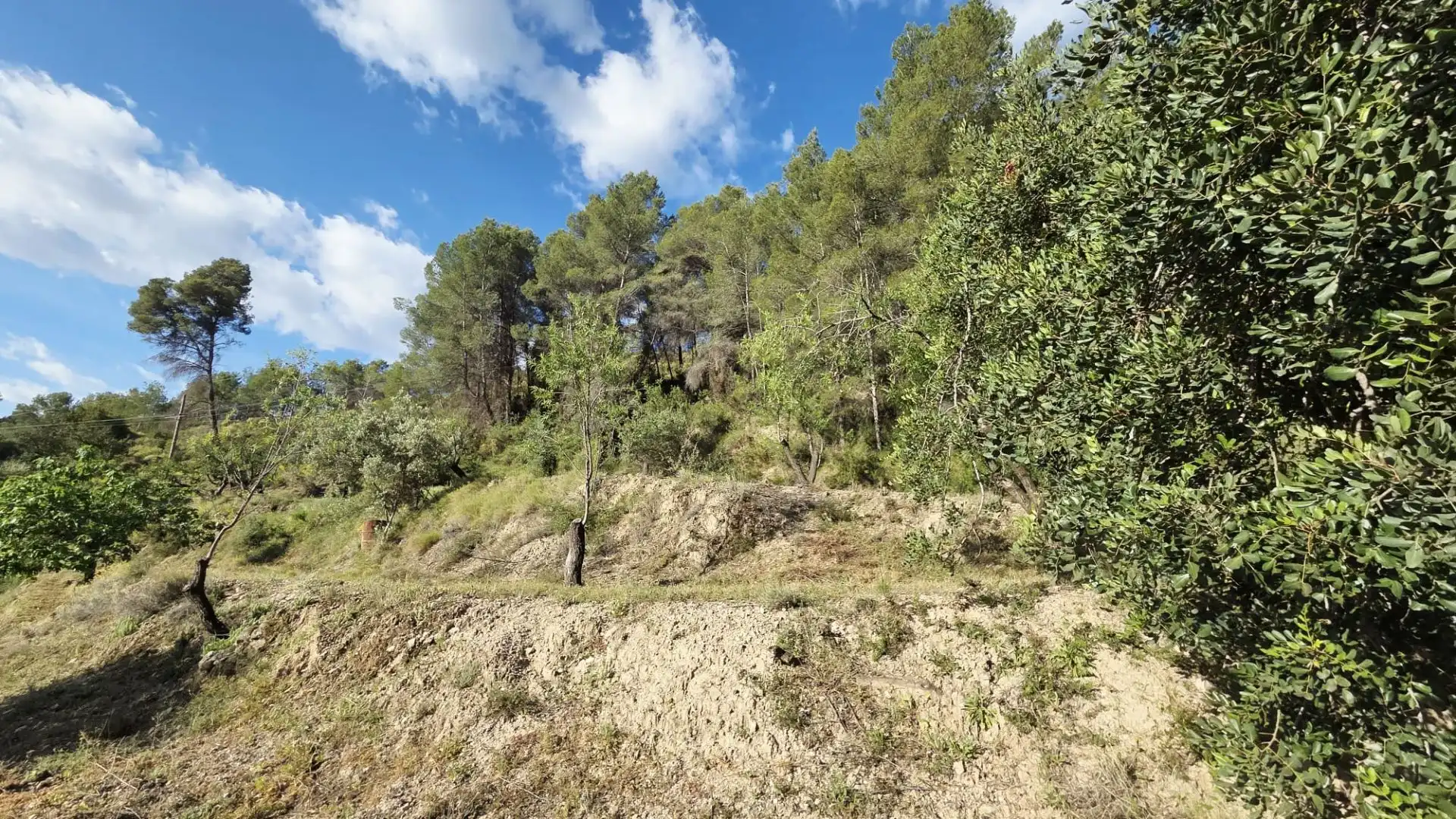 Grundstücke und Bauplätze zum Verkauf in El Castell de Guadalest, imagen 25
