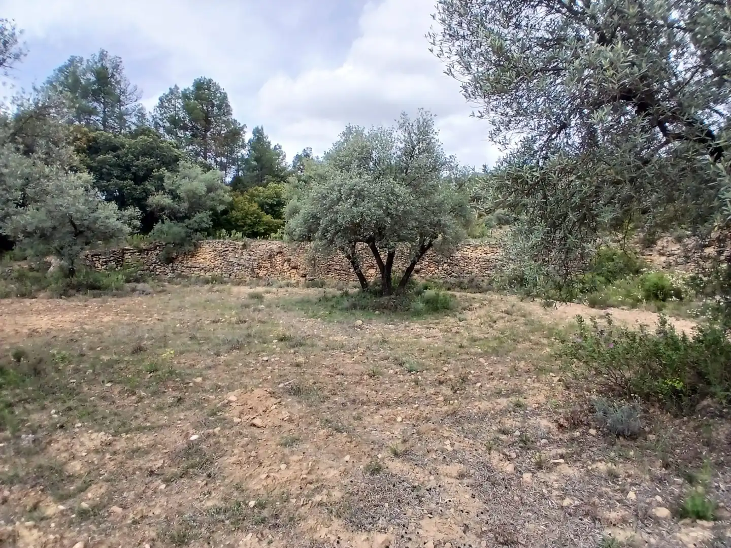 Terreni e lotti in vendita a Fórnoles, imagen 7