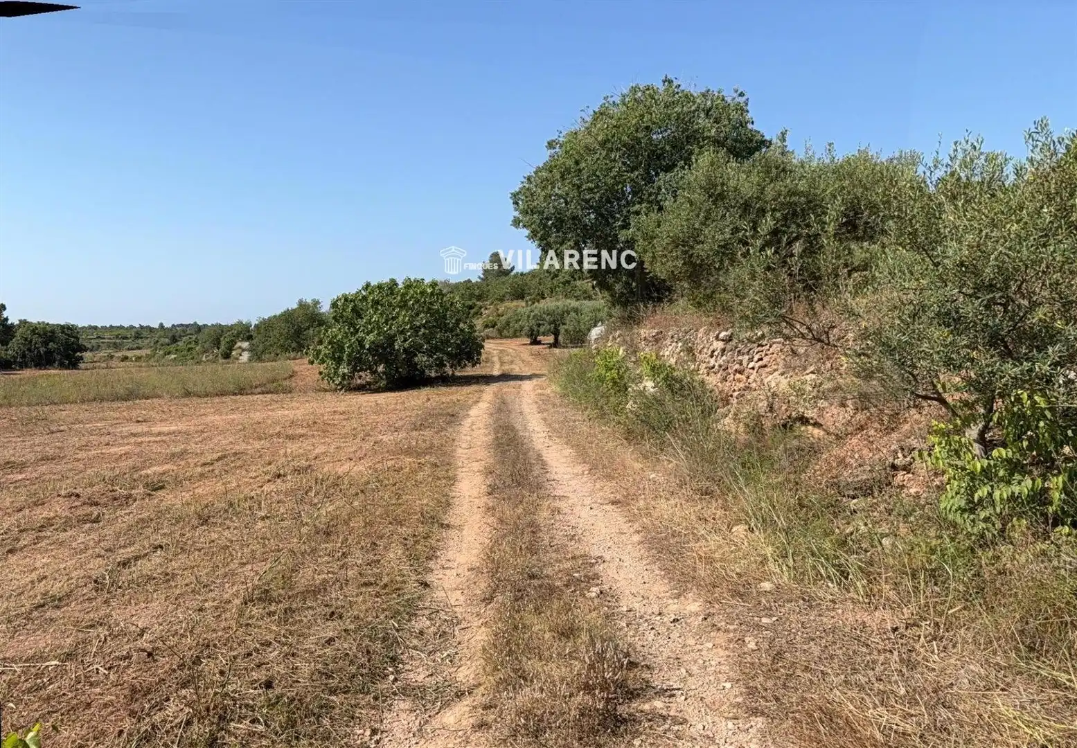 Rustikales Grundstück zum Verkauf in La Pobla de Montornès, imagen 7