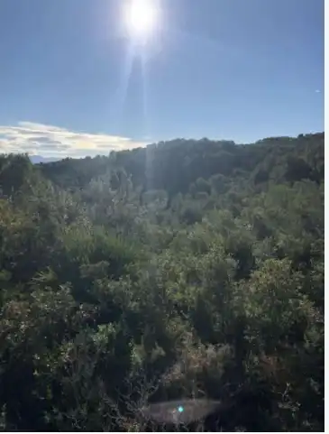 Terrain rustique à vendre à Carrer de l'Arcipreste Ferrandis, imagen 2
