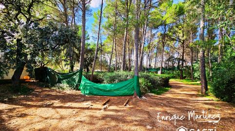 Foto 4 de Finca rústica en venda a Parcent, Alicante