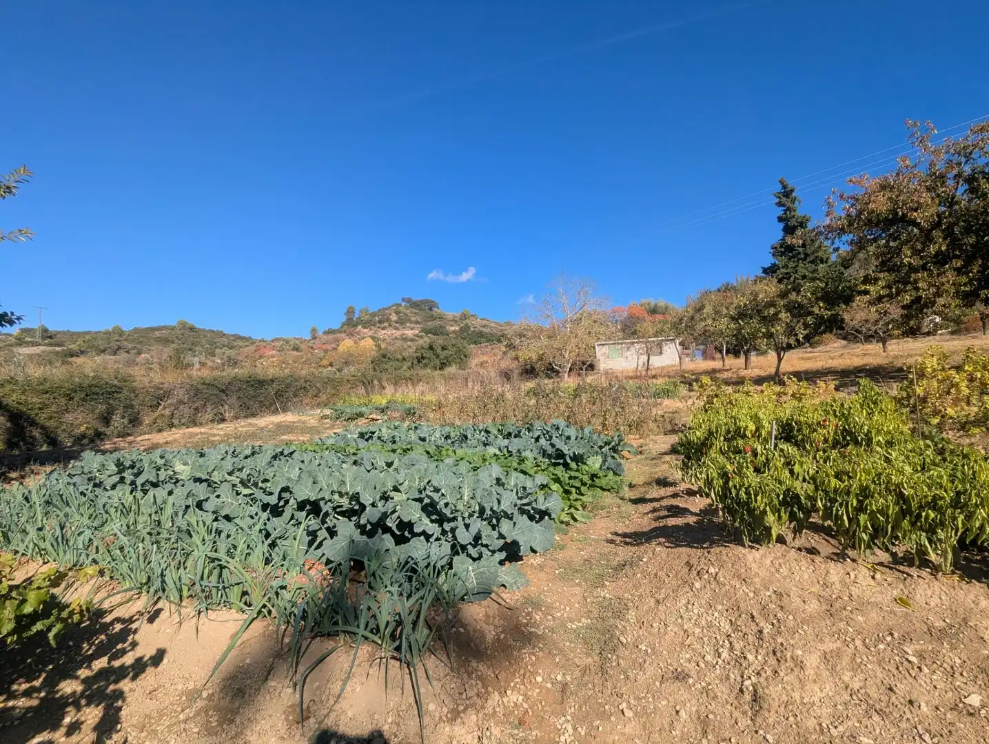 Terreno rustico in vendita a Estella / Lizarra, imagen 5