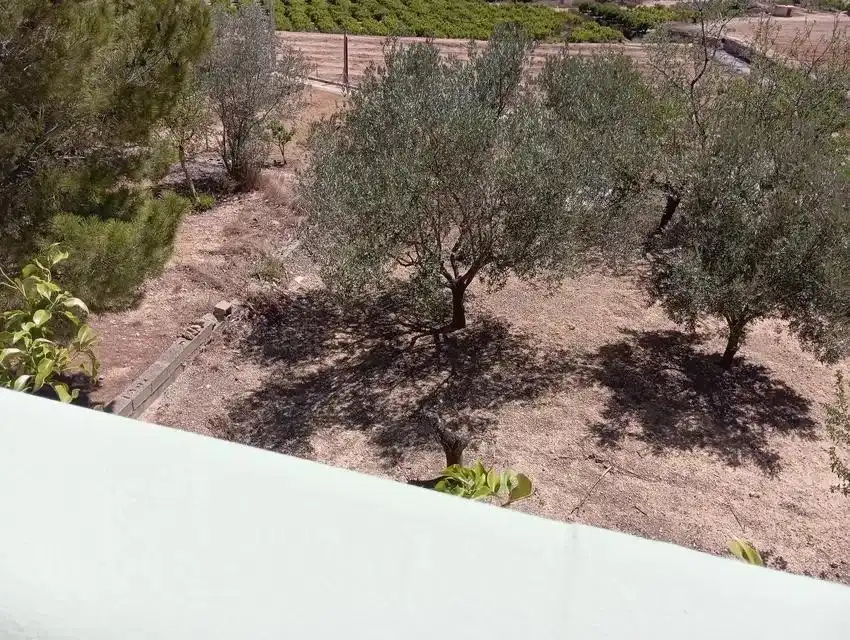 Casa o chalet en venta en Godelleta con Jardín privado, Terraza y Trastero