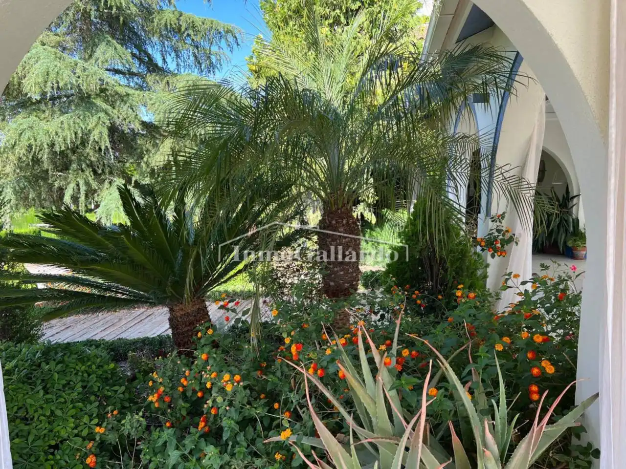 Garden of Buildings for sale in Lucena
