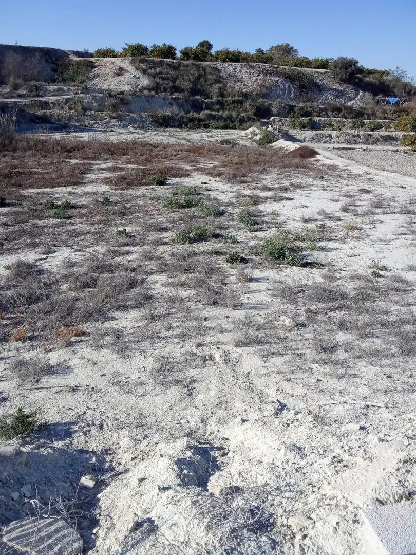 Terreny residencial en venda a Alguazas