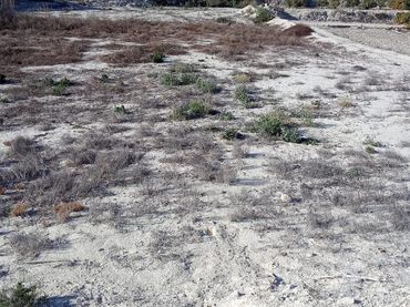 Terreno residenziale in vendita a Alguazas