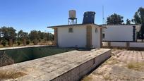 Vista exterior de Finca rústica en venda en Gibraleón amb Jardí privat, Traster i Piscina