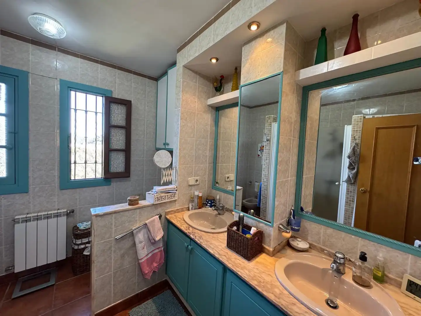 Baño de Casa o chalet en venta en Ardales con Jardín privado y Terraza