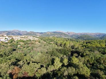 Terreno residenziale in vendita a Calle Cami Vell D'Alcudia
