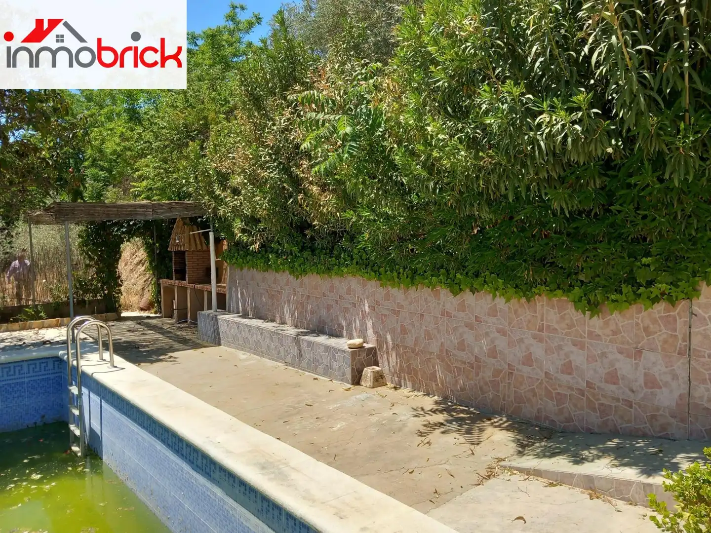 Casa amb piscina en venda a Rute, imagen 5