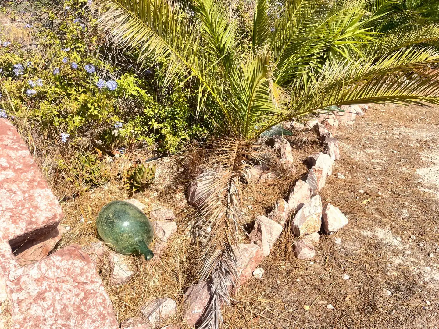 Jardín de Finca rústica en venta en Novelda con Aire acondicionado, Calefacción y Jardín privado