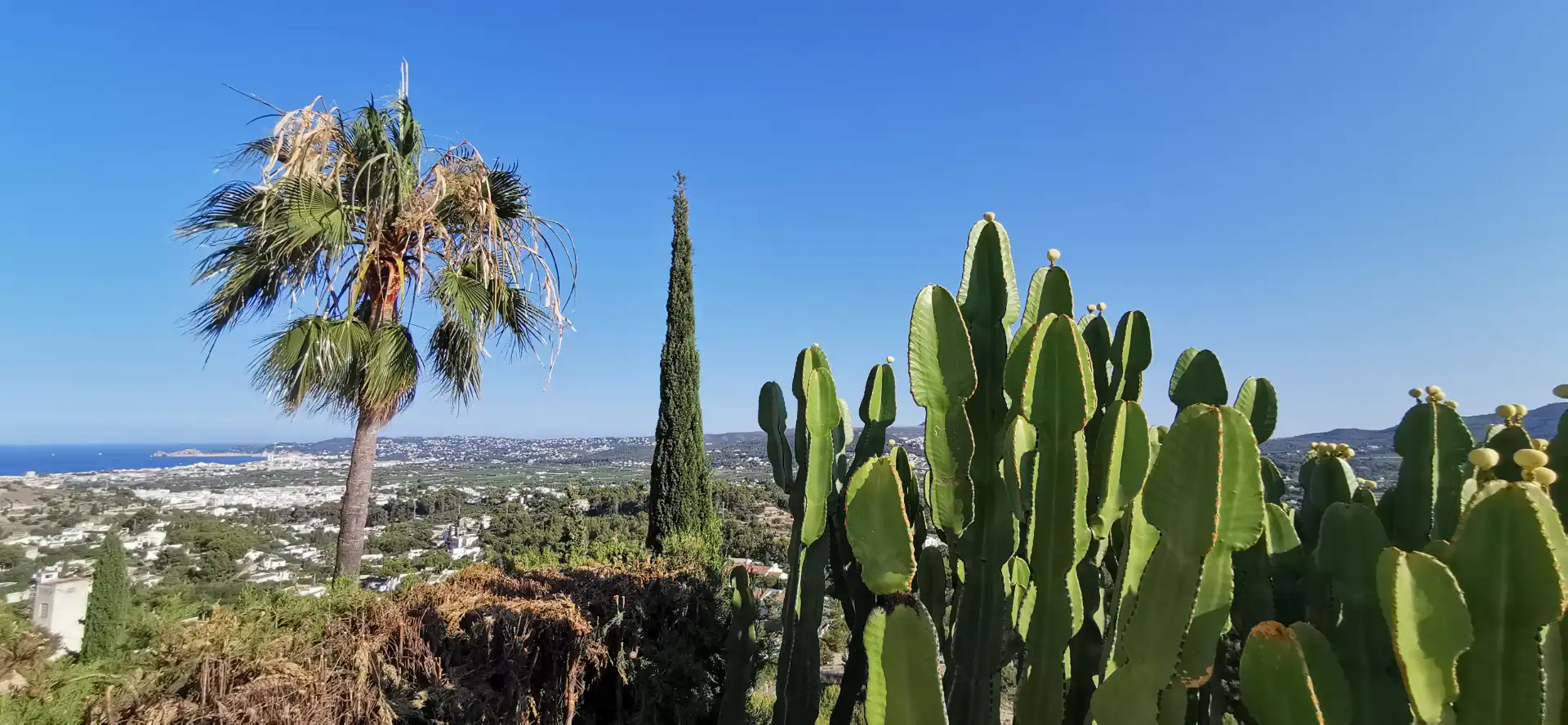 Vista exterior de Casa o chalet en venta en Jávea / Xàbia con Aire acondicionado, Calefacción y Jardín privado