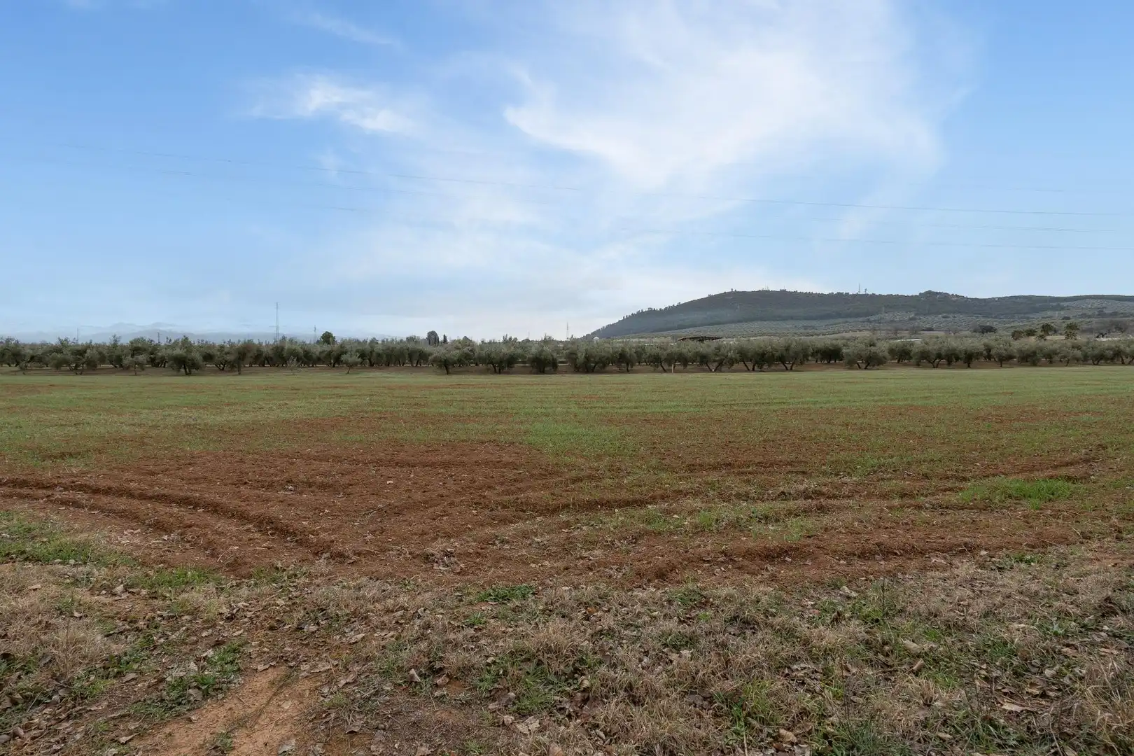 Terrenys i solars en venda a Polígono 23 Parcela 63 LA ZANJA. ALBOLOTE (GRANAD 23, imagen 38