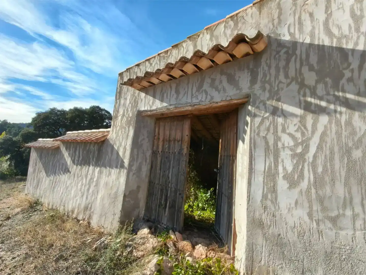 Vista exterior de Finca rústica en venta en Bogarra con Jardín privado