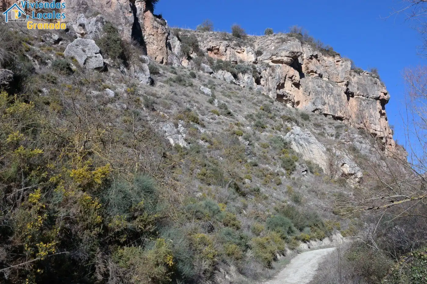 Terreni e lotti in vendita a Alhama de Granada, imagen 15
