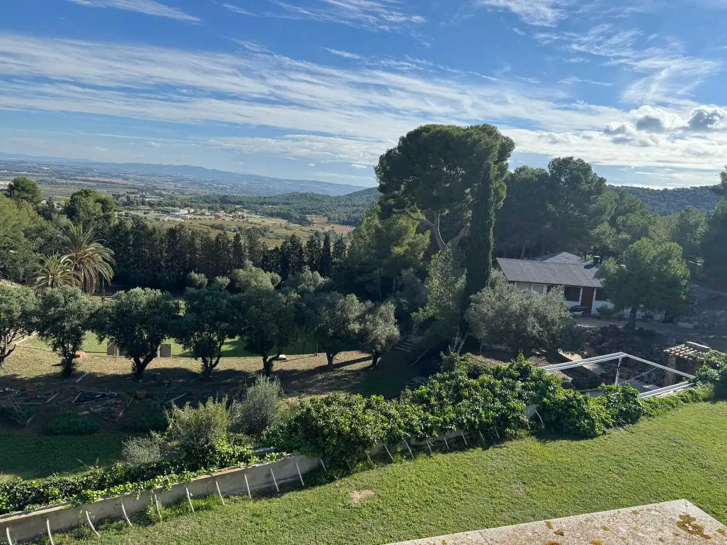 Finca rústica en venta en Albinyana