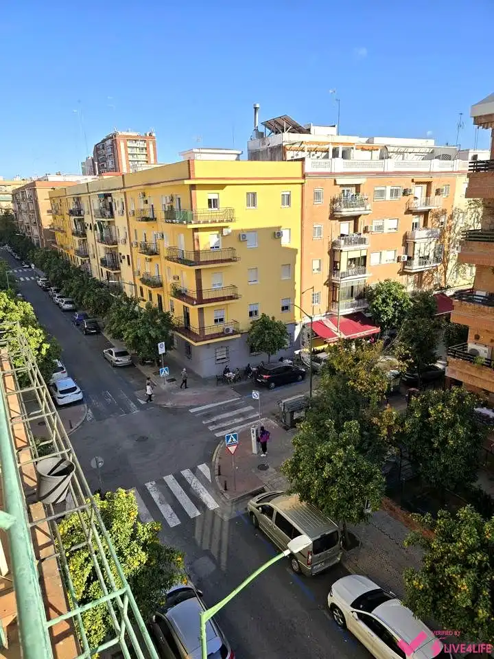 Attic for rent in Bami, Bami - La Estrella