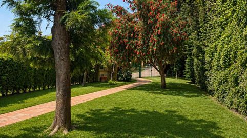 Photo 2 of Detached homes for sale in Puerto de Sotogrande - La Marina, Sotogrande