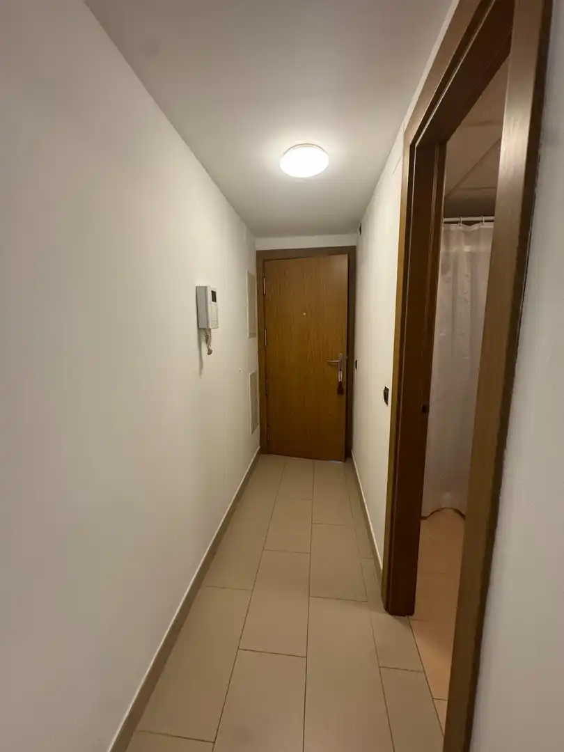 Ground floor with pool for sale in El Pinillo, imagen 23