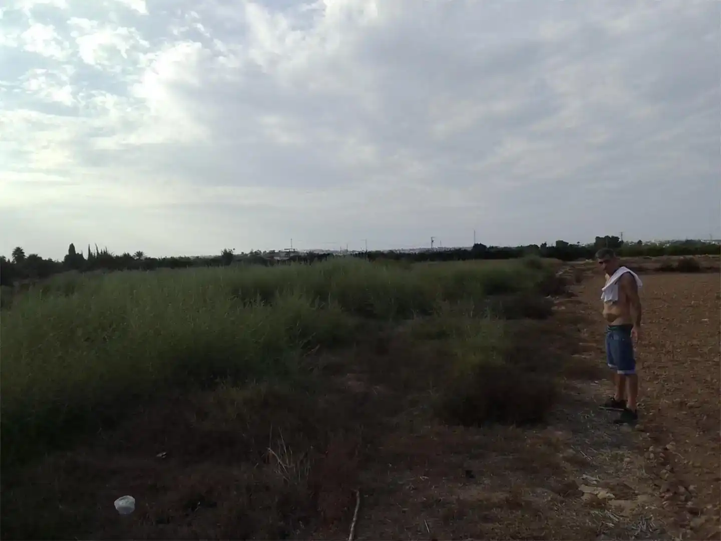 Land for sale in Guardamar del Segura