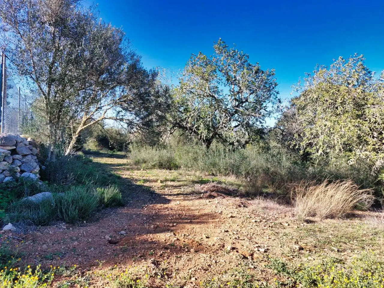 Rural land for sale in Poligono 5 723, imagen 54