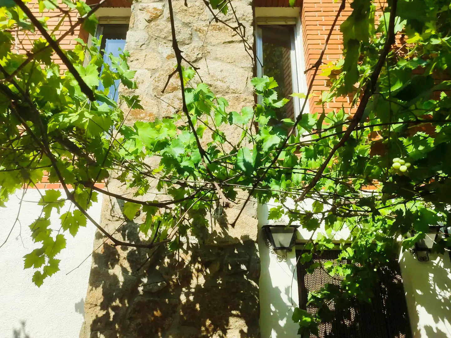 Villa mit Garten zum Verkauf in Calle Álamo 3, imagen 11