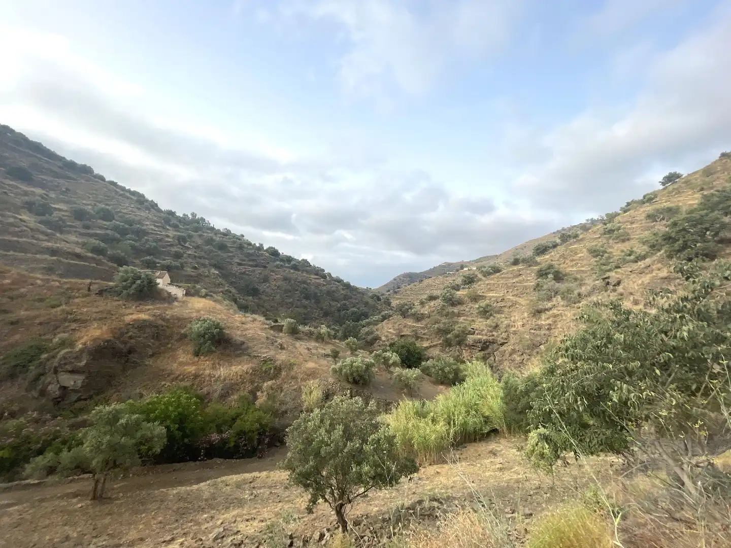 Casa o xalet en venda en Sayalonga