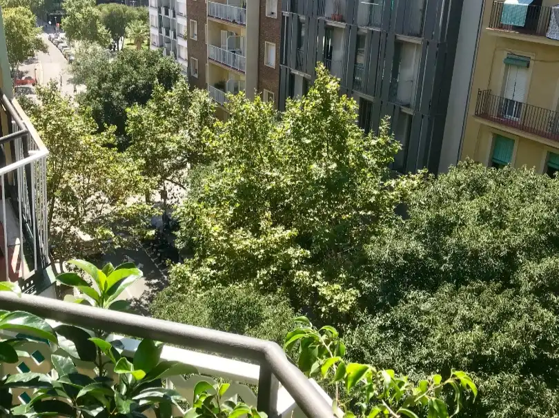 Apartamento con ascensor en venta en Carrer de Nàpols 98, imagen 6