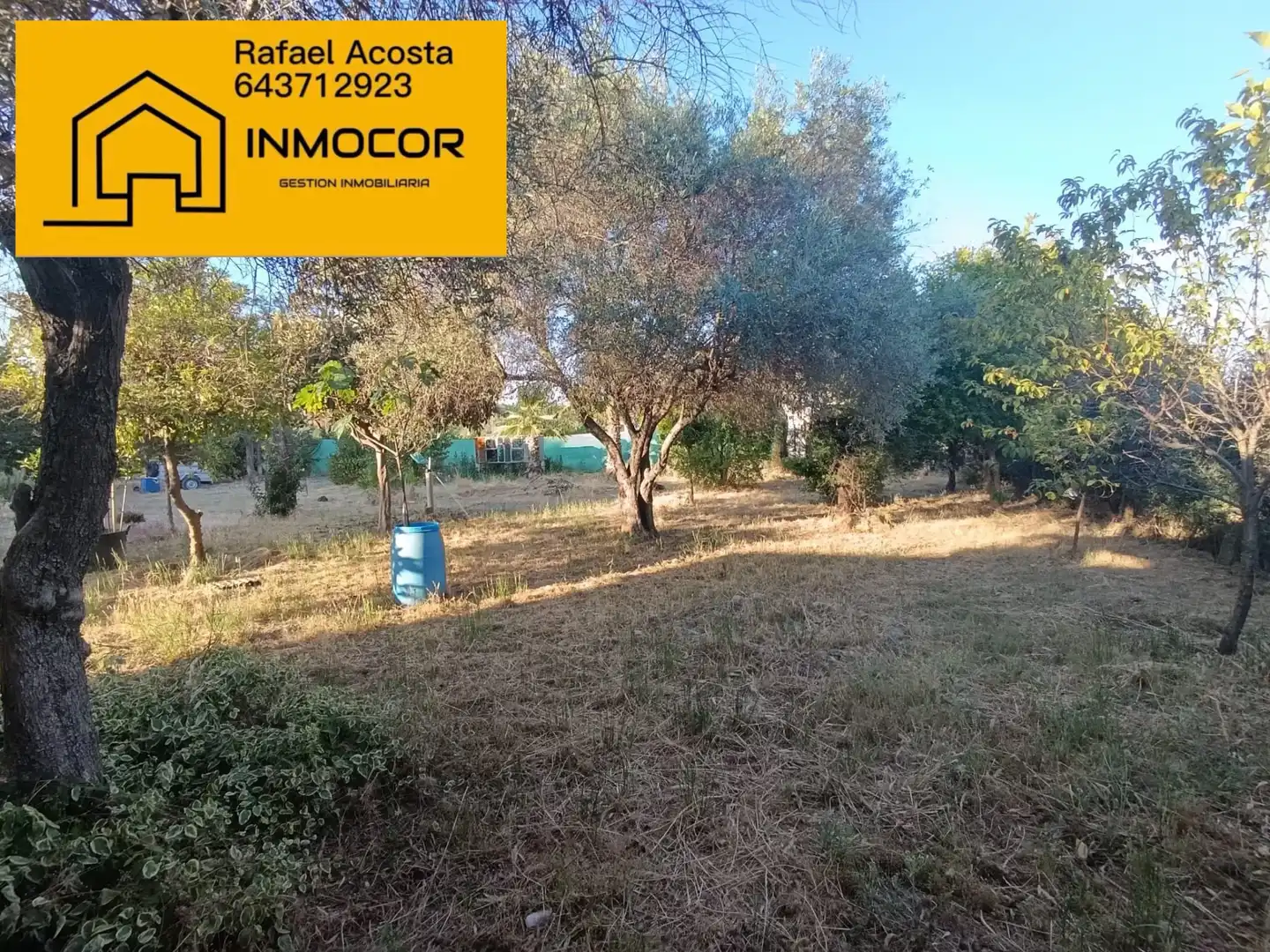 Terreno en venta en Almodóvar del Río