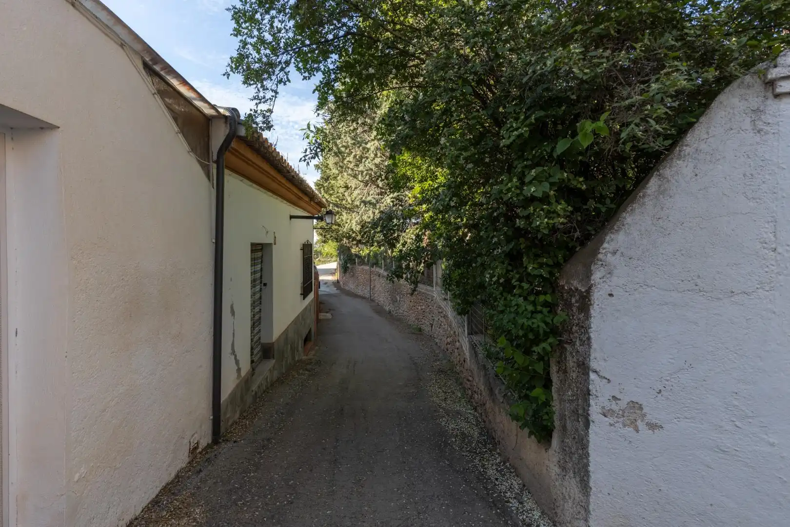 Residential land for sale in EMILIO MUÑOZ 5, imagen 2