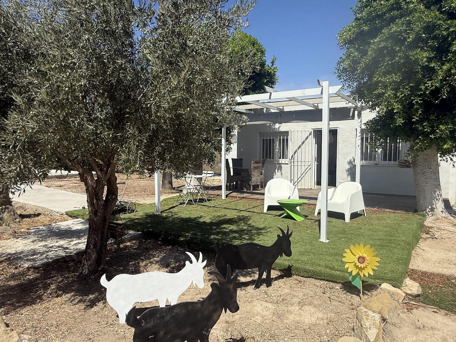 Garden of Country house for sale in Daya Vieja  with Terrace