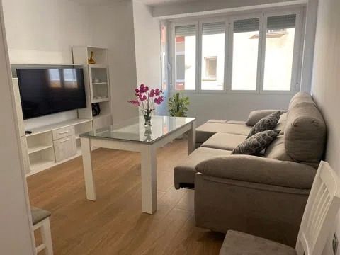 Living room of Flat to rent in Málaga Capital  with Furnished, Oven and Washing machine