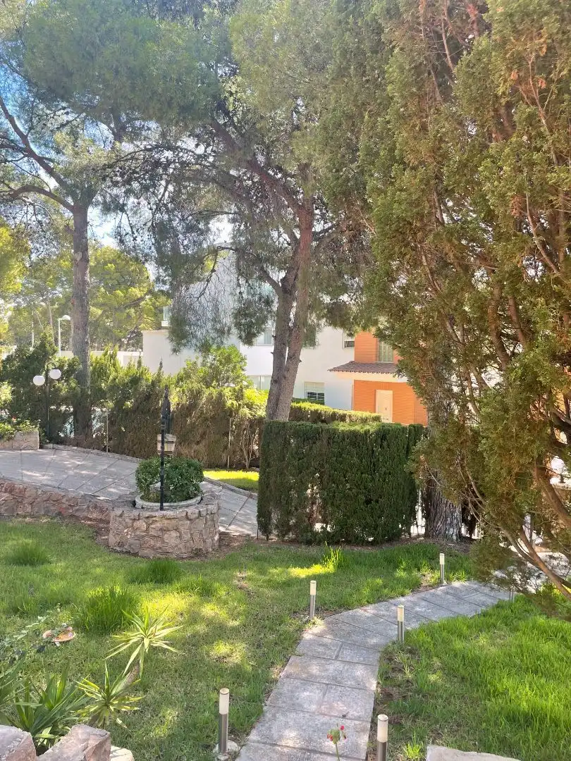 Casa con giardino in vendita a La Renegà - Torre Bellver - Les Platgetes, imagen 40