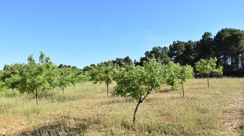 Finca rústica en Valderrobres, immagine 5