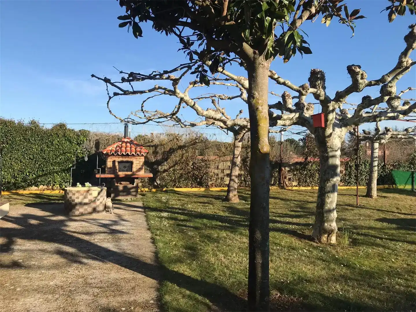 Jardín de Piso en venta en Micereces de Tera con Jardín privado, Piscina y Amueblado