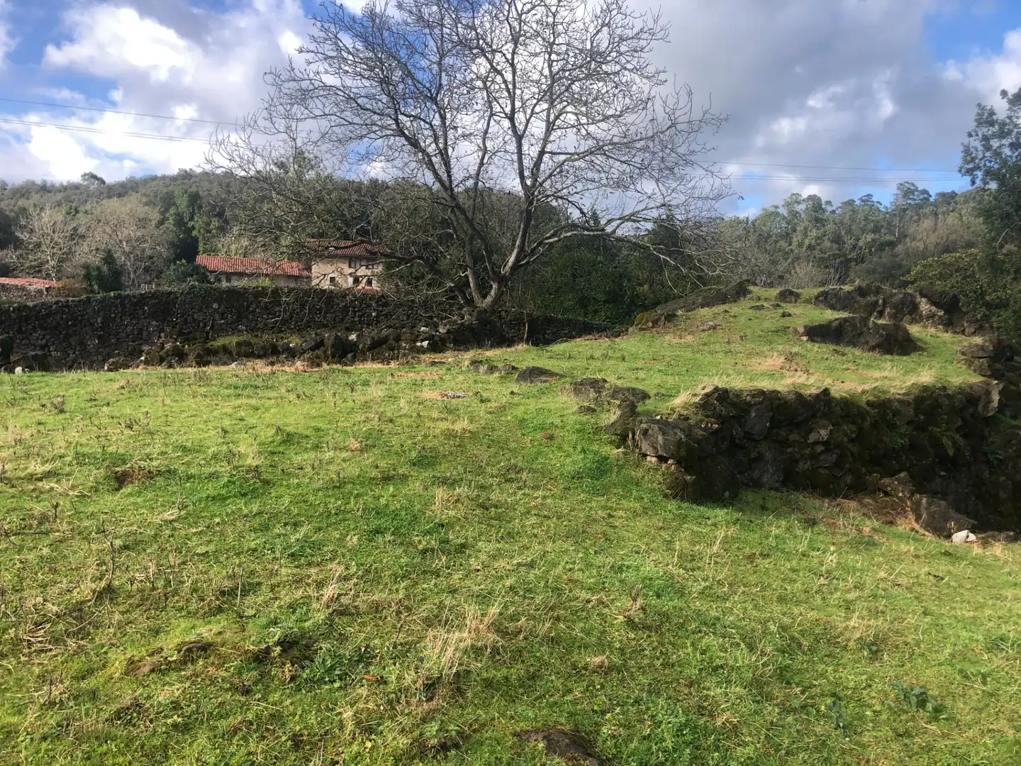 Finca rústica en venda en Entrambasaguas amb Jardí privat i Traster