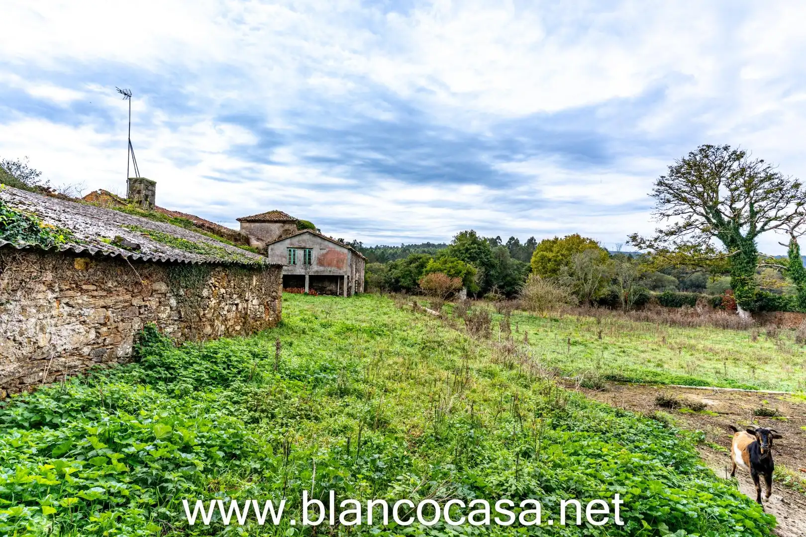Finca rústica en venta en Coristanco con Jardín privado