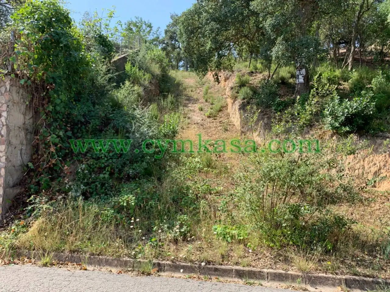 Terreny residencial en venda a Maçanet de la Selva pueblo, imagen 2