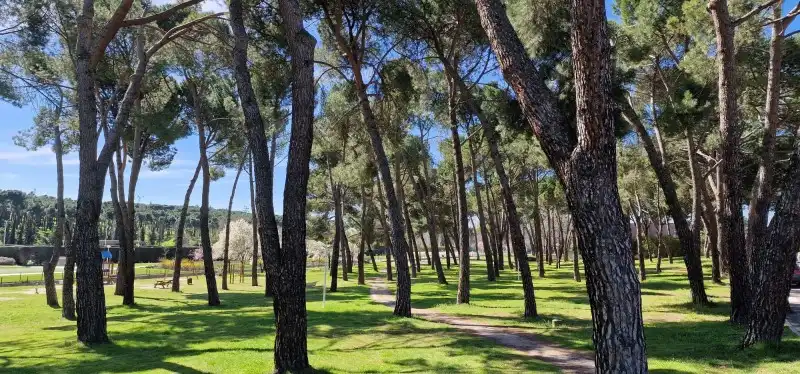 Piso con piscina en venta en Moncloa - Aravaca, imagen 37