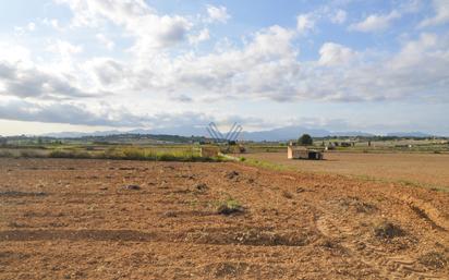 Land for sale in Santa Margalida