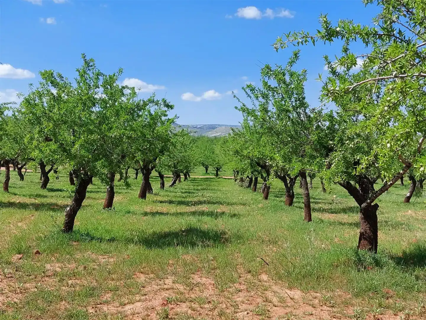 Finca rústica en venda en La Peza