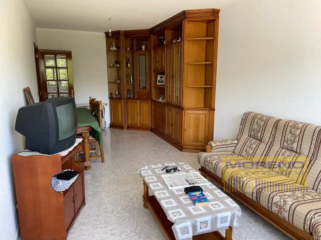 Wohnzimmer von Wohnung zum Verkauf in Triacastela