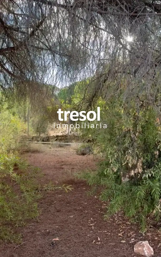 Terreni e lotti in vendita a Calle Campillos